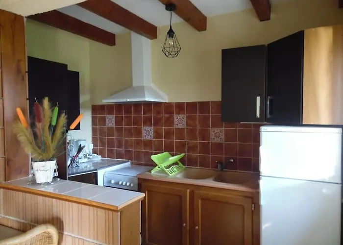 Le Viognier - - Lot Nyaraló Saint-Michel-de-Bannières